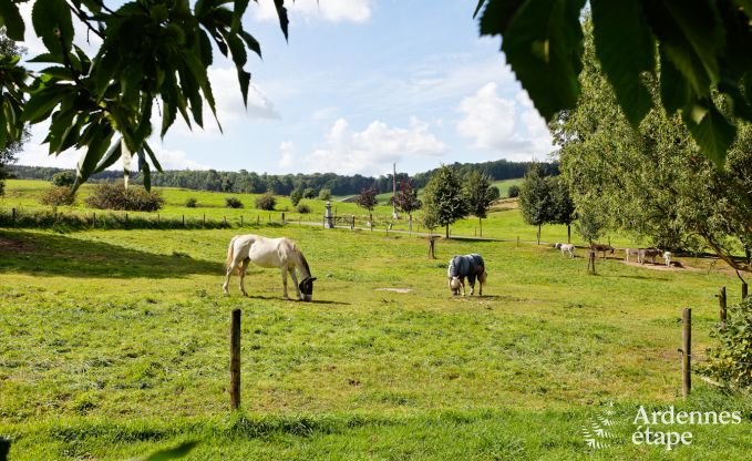 Vacances  la ferme  Plombires pour 7 personnes en Ardenne