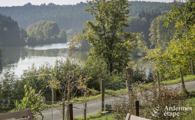 Villa de Luxe  Robertville pour 12 personnes en Ardenne