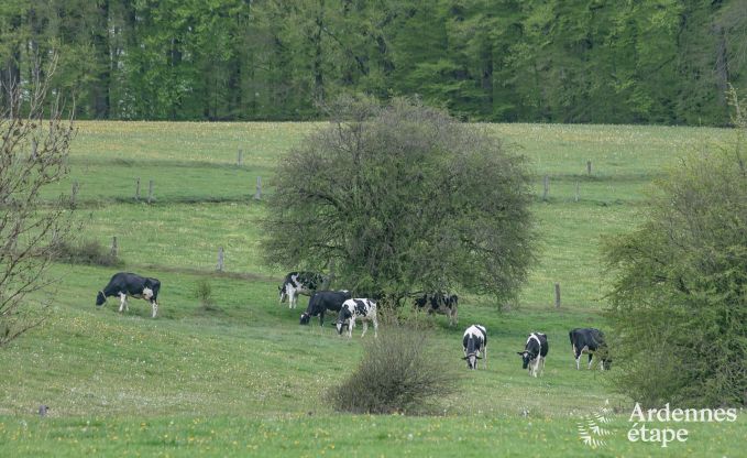 Vacances  la ferme  Bertrix pour 4 personnes en Ardenne